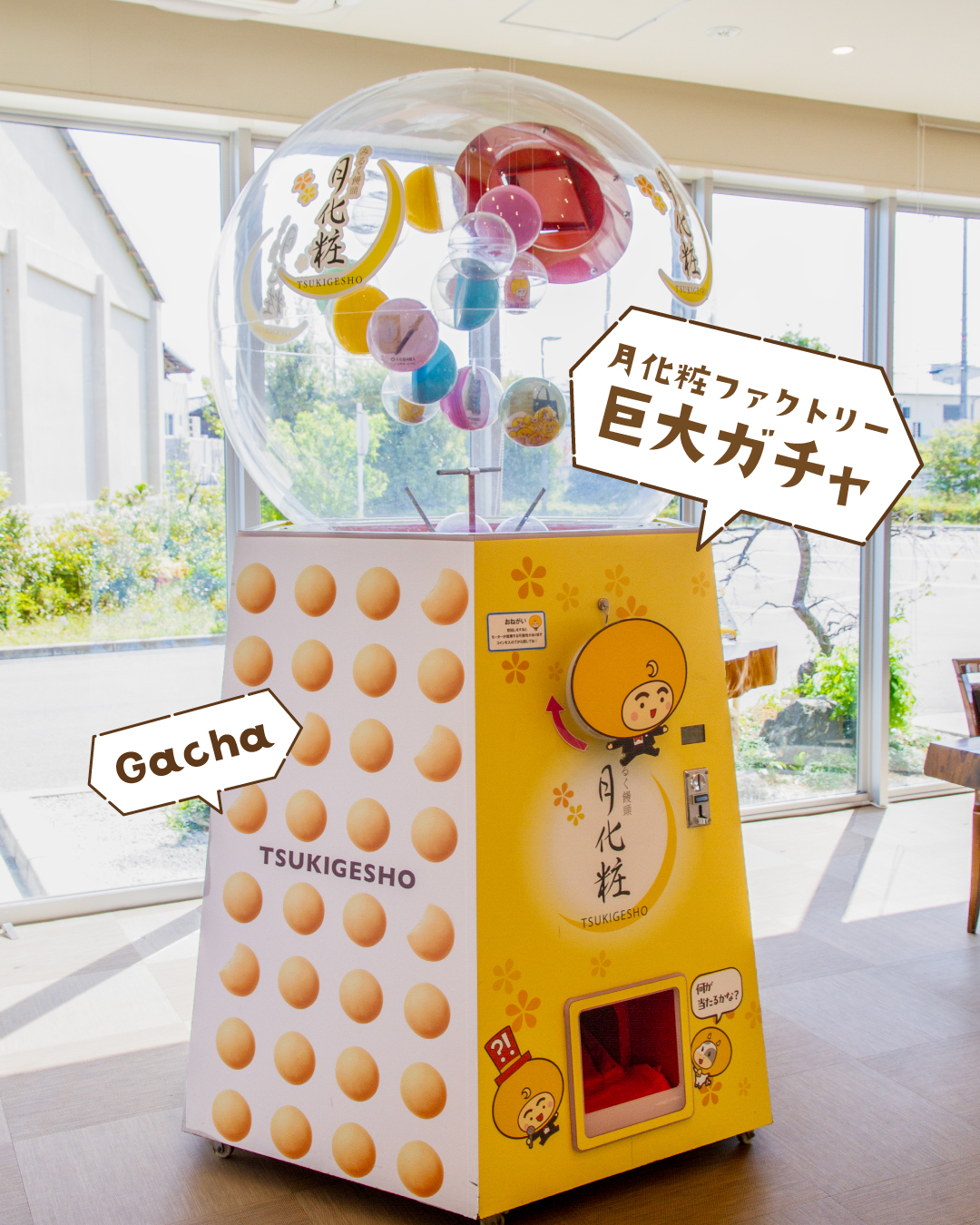 青木松風庵 秋葉山店アベニールのInstagram一覧ページ |青木松風庵 公式