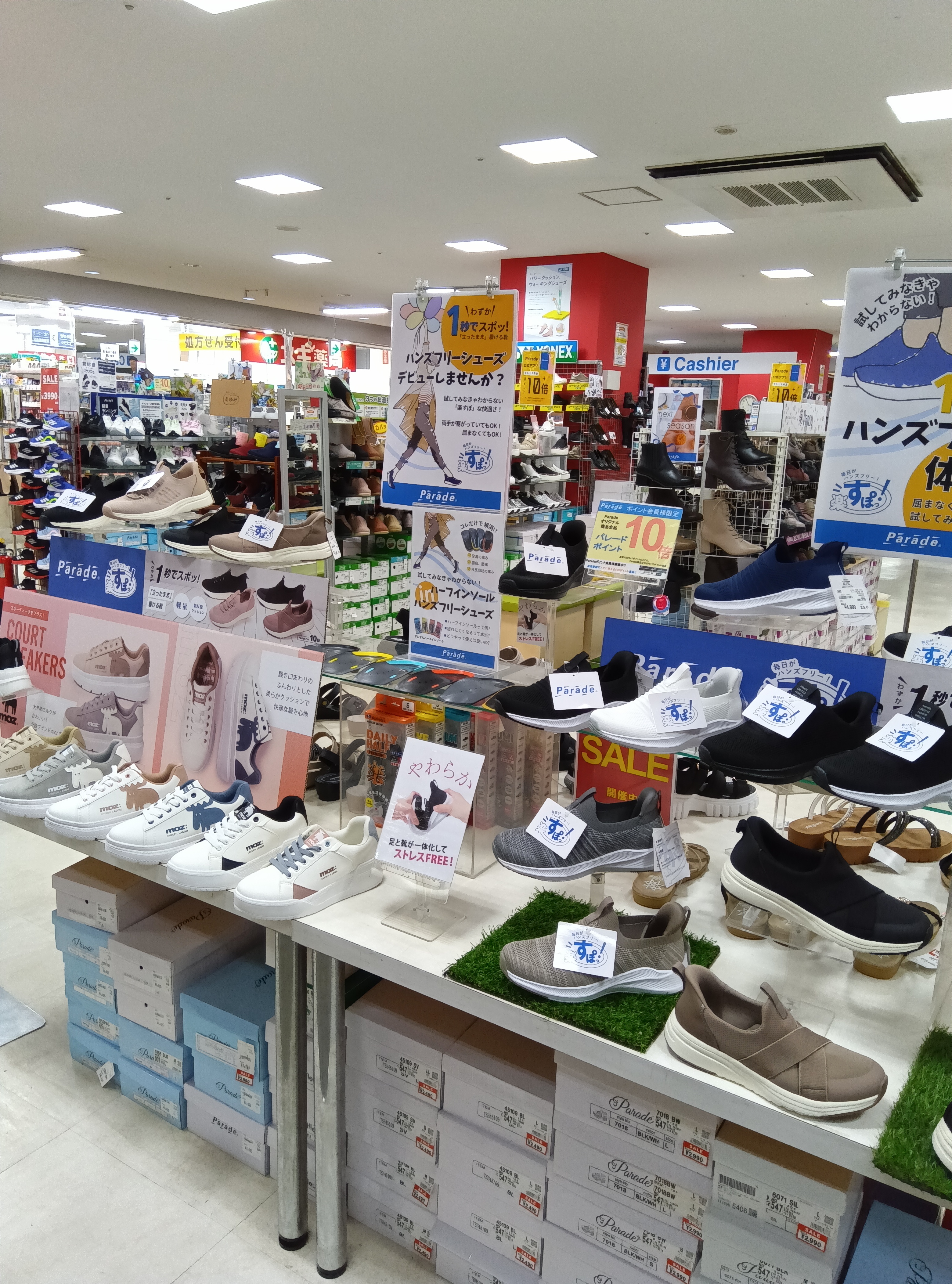 キュウソネコ紙 グランフロント大阪店限定 KENZO HOOPS LOW TOP SNEAKERS(41 WHITE): KENZO: MENS｜THE