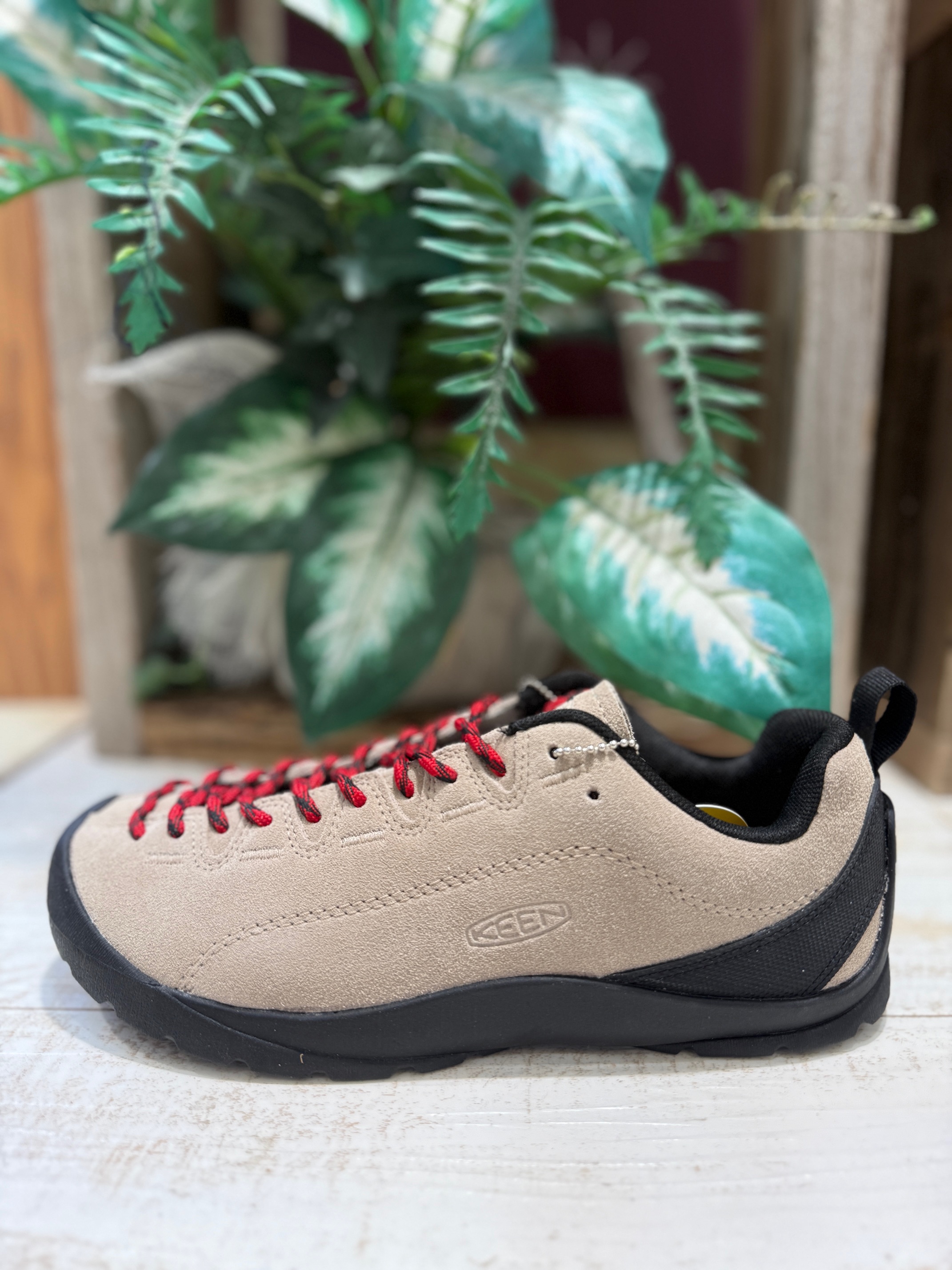 お待たせしました！KEEN JASPER 人気の Silver Mink（シルバーミンク