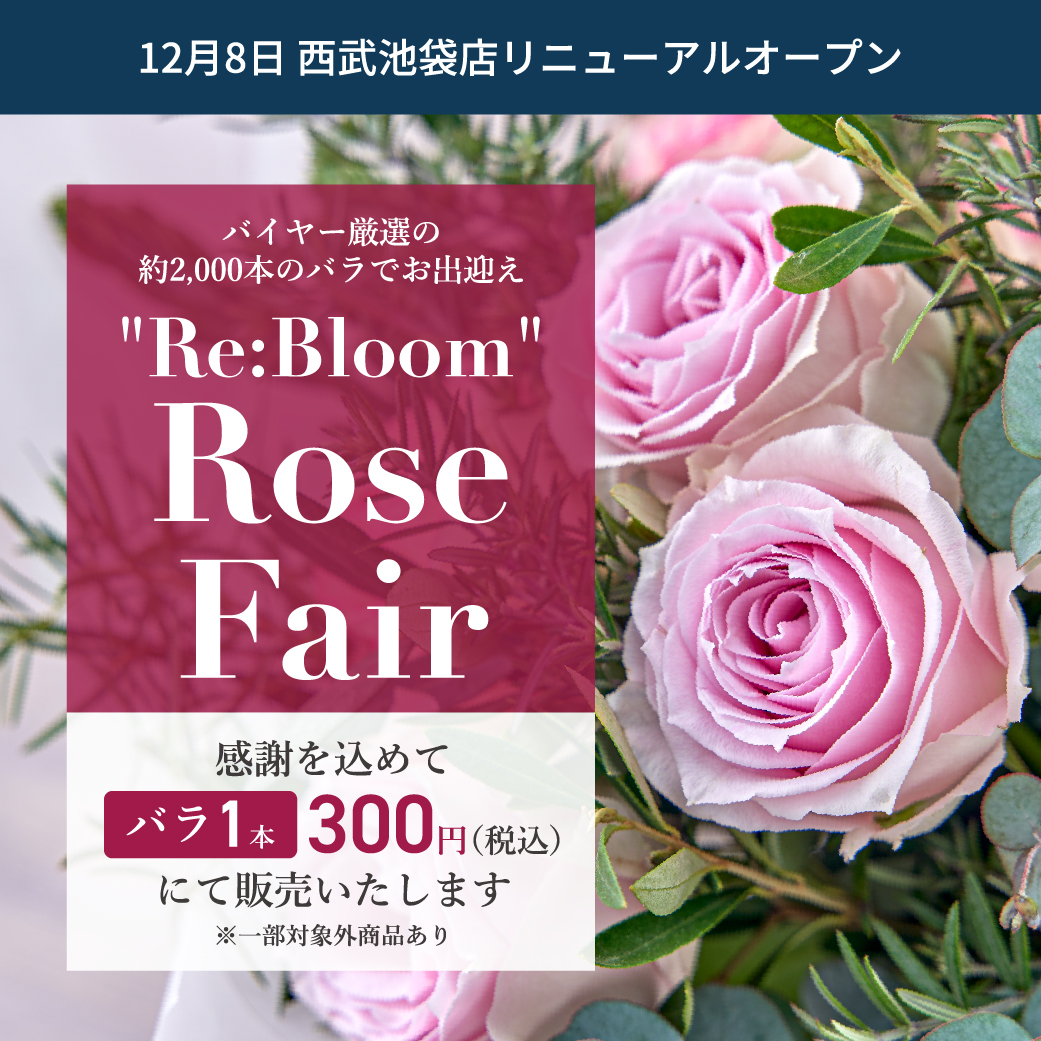 Re:Bloom